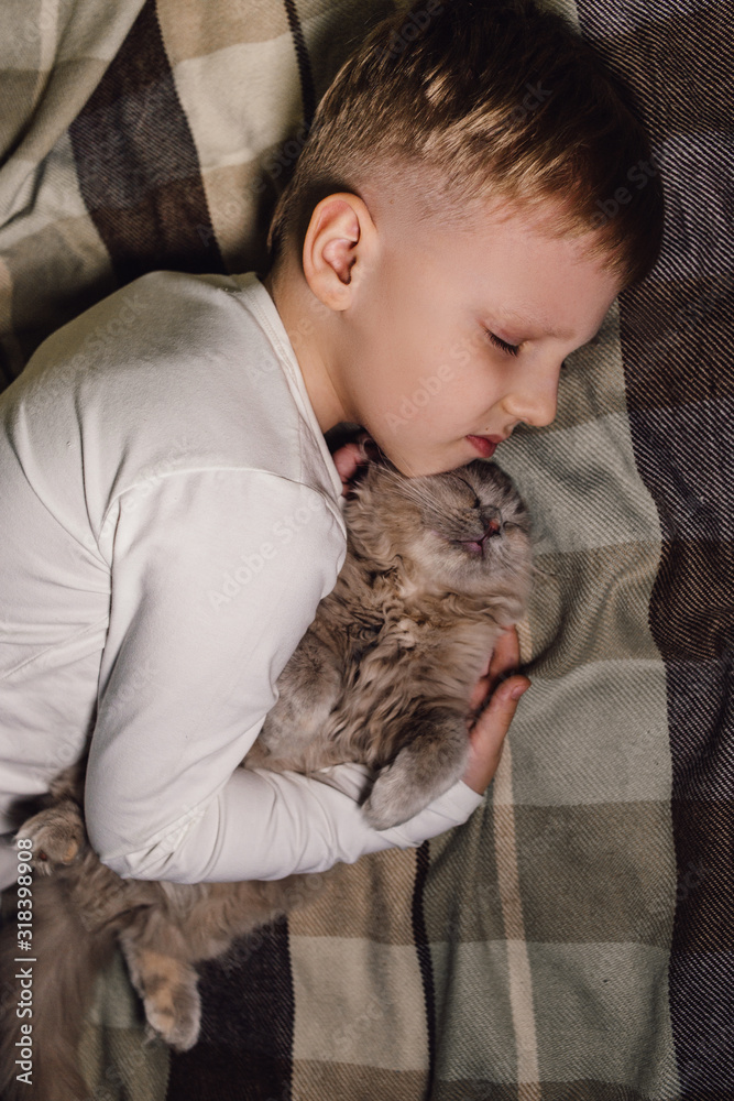 Boy and cat. Scottish fold cat in the arms of a boy. The concept of a pet in family education and a loving home. Horizontal. Boy and cat. Scottish fold cat in the arms of a boy. The concept of a pet in family education and a loving home. Horizontal.