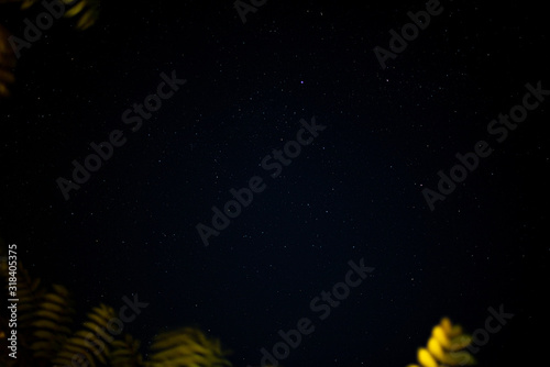 Night sky with stars palm leaves natural ordinary camping fun time family sapce for text summer