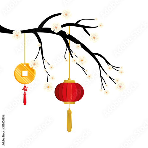 tree branch with lantern and decoration chinese hanging vector illustration design