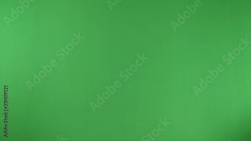 One balinese cat on chroma key isolated domestic animal, studio.