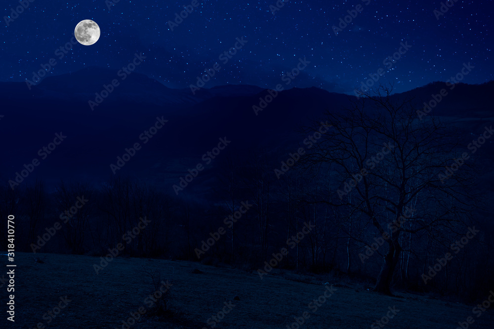 Fototapeta premium Scenic night landscape of country road at night with large moon