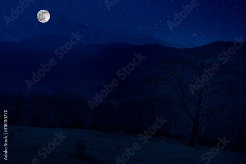 Scenic night landscape of country road at night with large moon