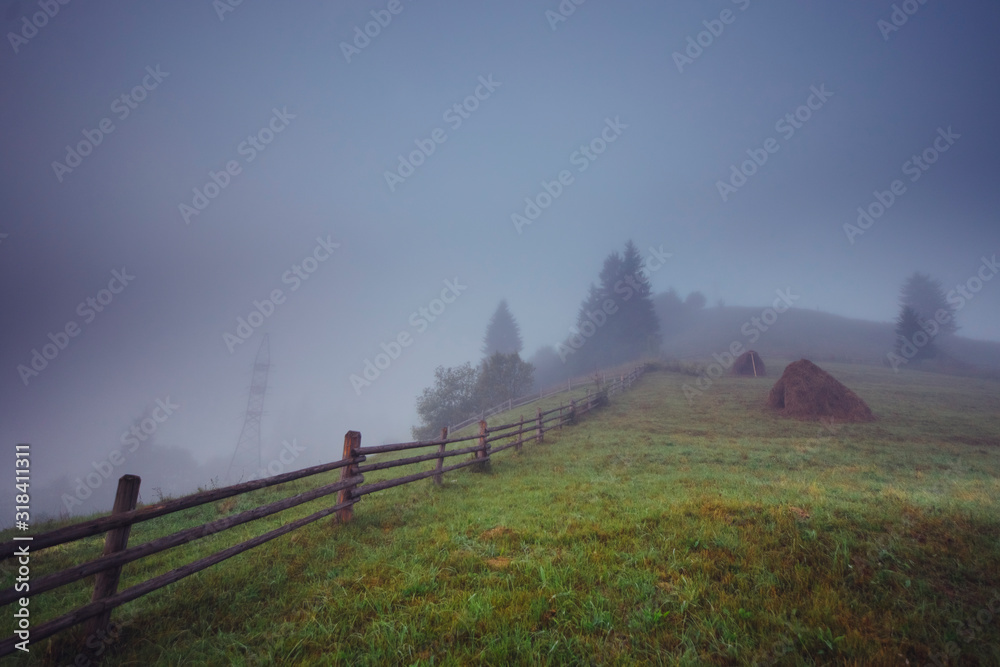 A stunning view of the foggy meadow in the morning. Haycocks on the grassy field. Mysterious pasture with trees covered with fog. Foggy hills and light green grass.