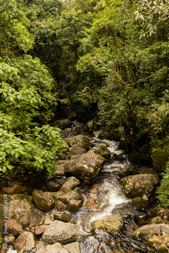 A Little River Into The Rain Forest A Little River Into The Rain Forest