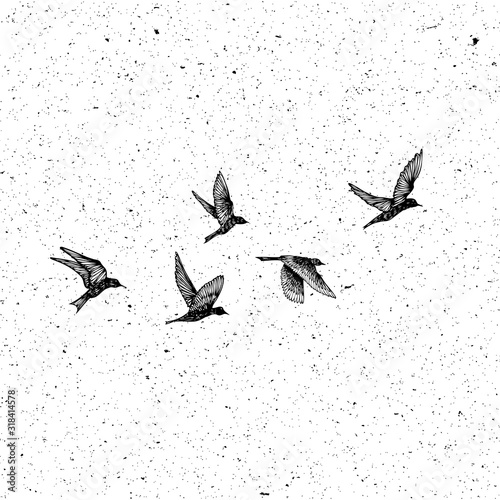 Set of black hand drawn strokes birds, flock. Drawing sketch. On textured Abstract grainy texture dust stain particles like stipple. Inspirational body flash tattoo ink.  Vector.