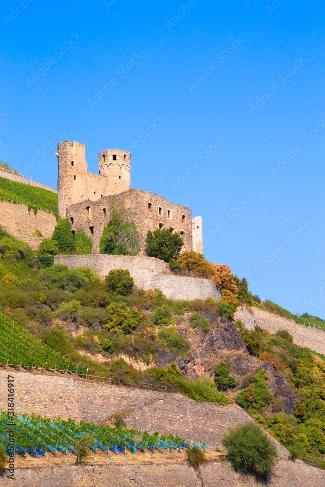 Ehrenfels Castle along the Rhine River in Germany