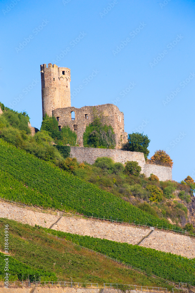 Ehrenfels Castle along the Rhine River in Germany