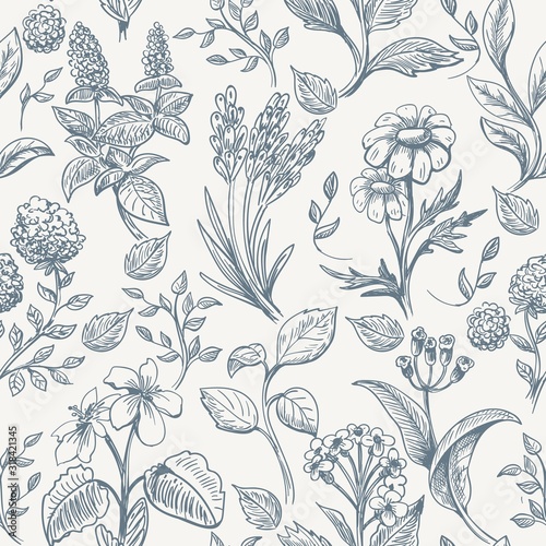 Herbs sketch seamless pattern