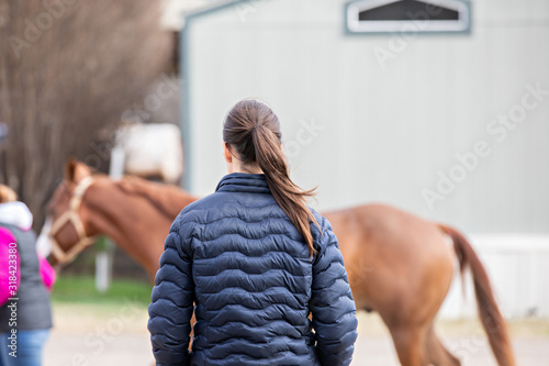 Foto Equine Lameness Check