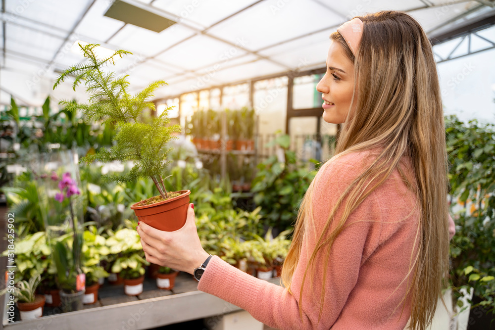 Natural beautiful young blonde woman holding pine tree plant inside flower shop, planting concept Natural beautiful young blonde woman holding pine tree plant inside flower shop, planting concept