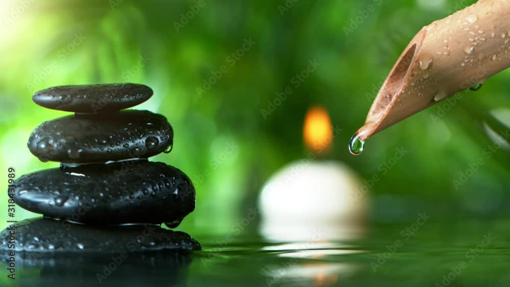 Super slow motion of dripping drops from bamboo, spa and wellness concept. Filmed on very high speed cinema camera, 1000 fps.
