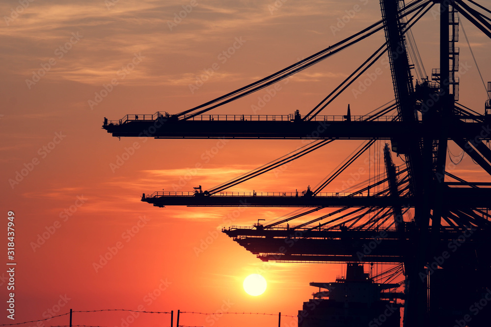 Container ship With cranes for loading goods in the port in the evening