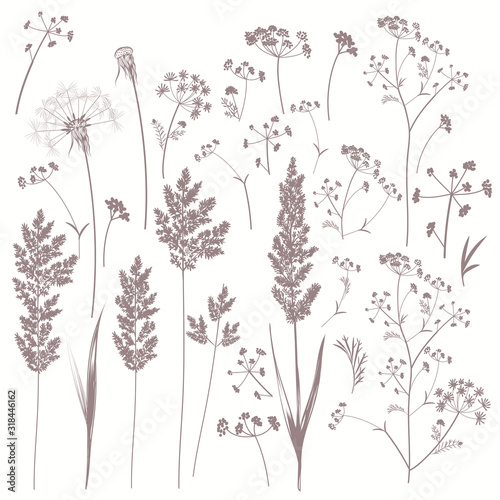 Collection of vector field plants in vintage style