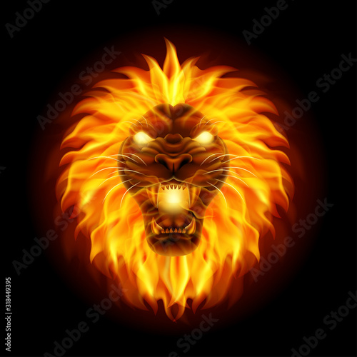 Fire lion head isolated on black background