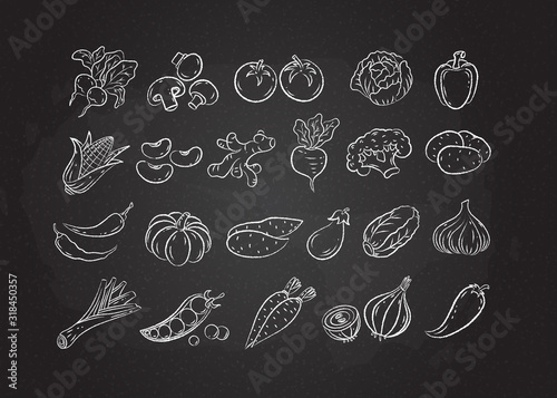 Chalked sketch vegetable icon set vector illustration. White chalk style line hand drawn vegetables, tomato and onion, garlic and mushroom sketch icon on blackboard for restaurant menu promo design