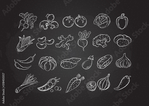 Chalked sketch vegetable icon set vector illustration. White chalk style line hand drawn vegetables  tomato and onion  garlic and mushroom sketch icon on blackboard for restaurant menu promo design