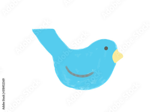 Colorful bird