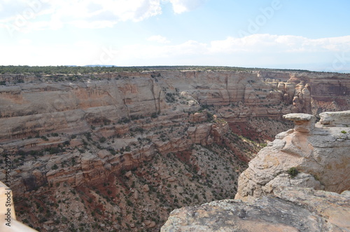 Early Summer in Colorado: Overlooking Columbus Canyon from Cold Shivers Point Near Rim Rock Drive in Colorado National Monument