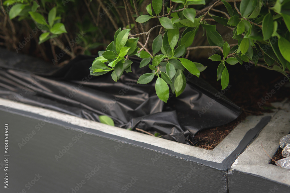 Single Use Black Plastic