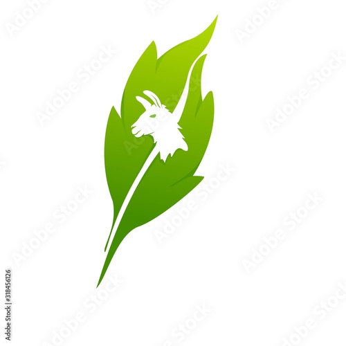 Illama logo consept 