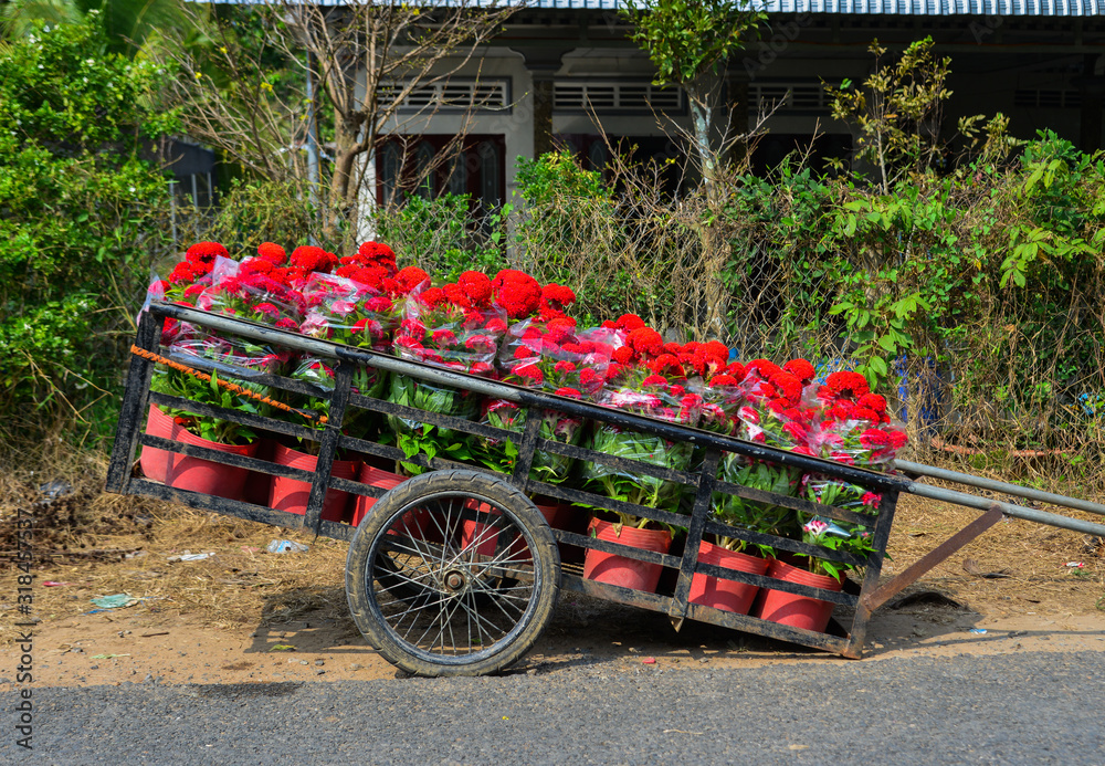 Wheelbarrow carrying flower pots
