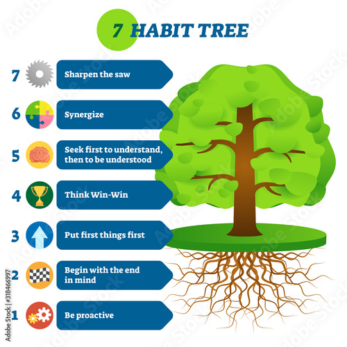 7 habit tree success mindset stages vector illustration