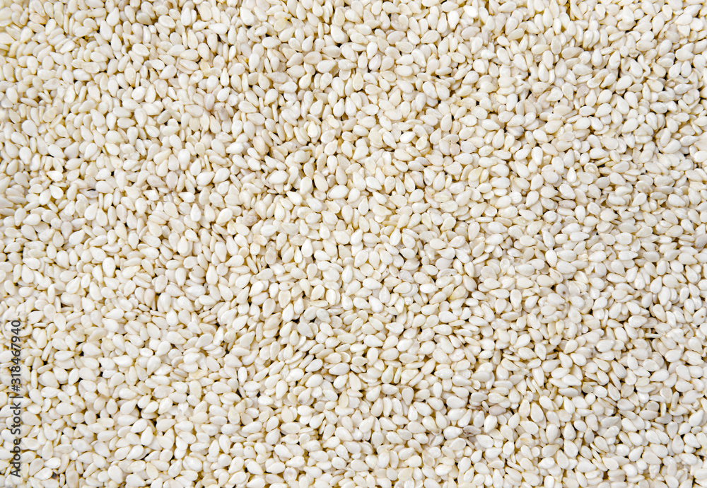 close up Top View Sesame Seeds organic background. close up Top View Sesame Seeds organic background.