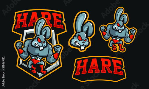 Hare mascot logo design for sport or e-sport logo isolated on dark background