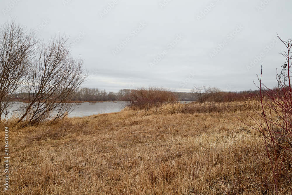 Obraz premium Yellow landscape in autumn cloudy day with yellow grass and lake