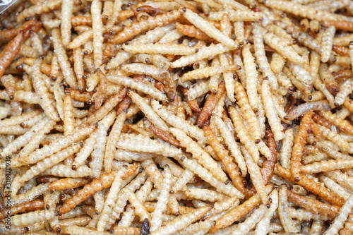 Fries Insects protein food in the market at Southeast Asia.