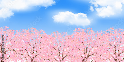 桜　春　花　背景