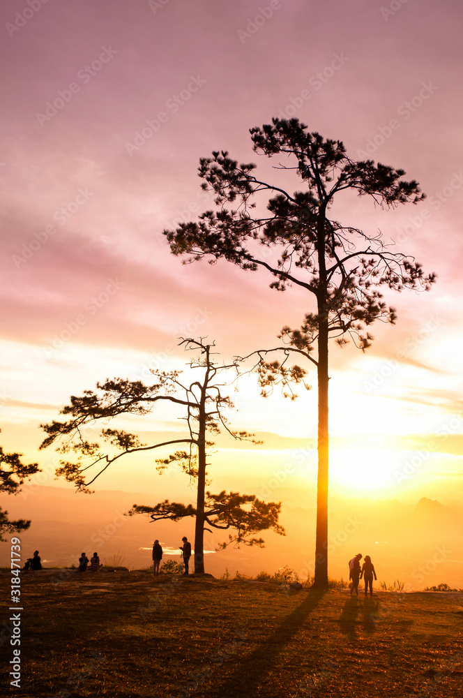 Beautiful sunrise with silhouette pine trees at Pha Nok An cliff in Phu Kradueng National park. Loei - Thailand
