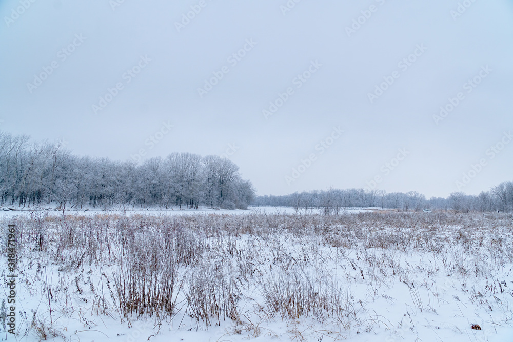 Winter landscape. A snow field in front of a forest Winter landscape. A snow field in front of a forest
