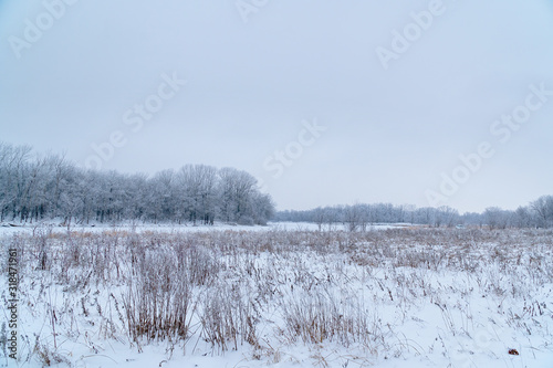 Wallpaper Mural Winter landscape. A snow field in front of a forest Torontodigital.ca