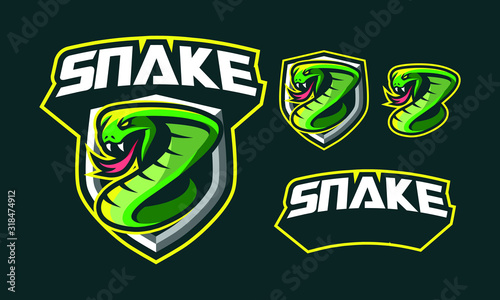 Snake mascot logo design for sport/ e-sport logo design isolated on dark background