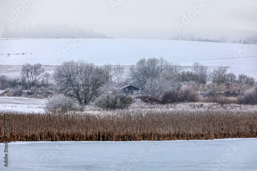 Winter landscape with frozen pond covered with snow. Central european countryside. Christmas winter concept