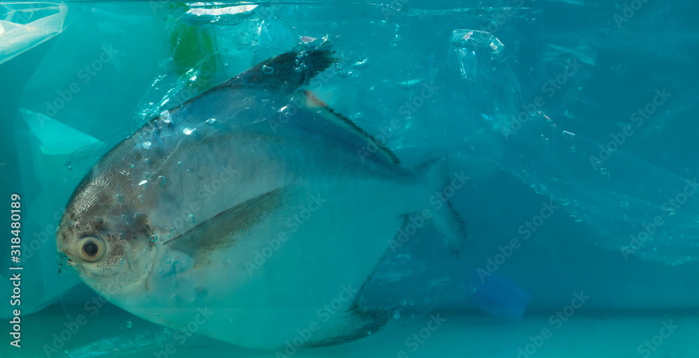 Obraz premium Disposal of waste into water sources, such as plastic bags, is non-biodegradable, causing pollution and is harmful to aquatic animals and ecological systems.