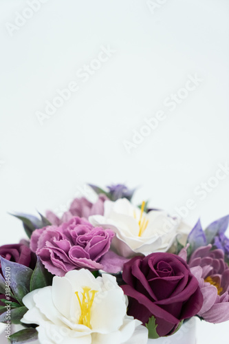 Flowers in bloom  multi-colored red and pink buds on a white background.