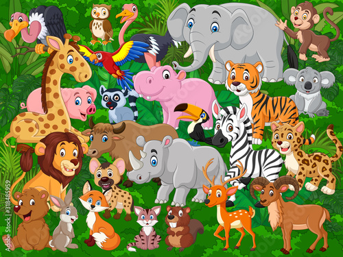 Cartoon wild animals collection set