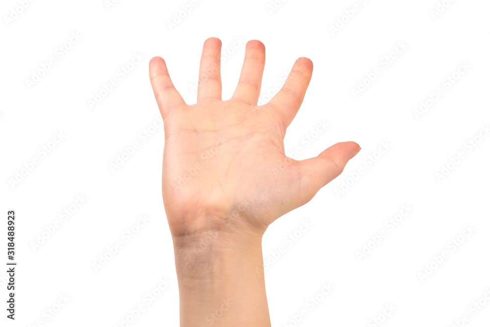 Woman hands wanting or asking for something Woman hands wanting or asking for something