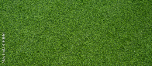 Fotografia green grass background, football field