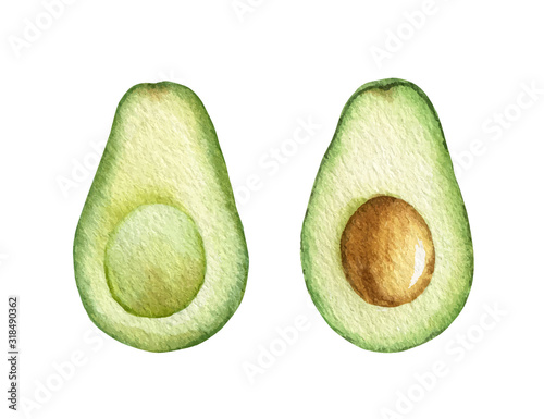 Watercolor vector hand painted jucy avocado fruit set.