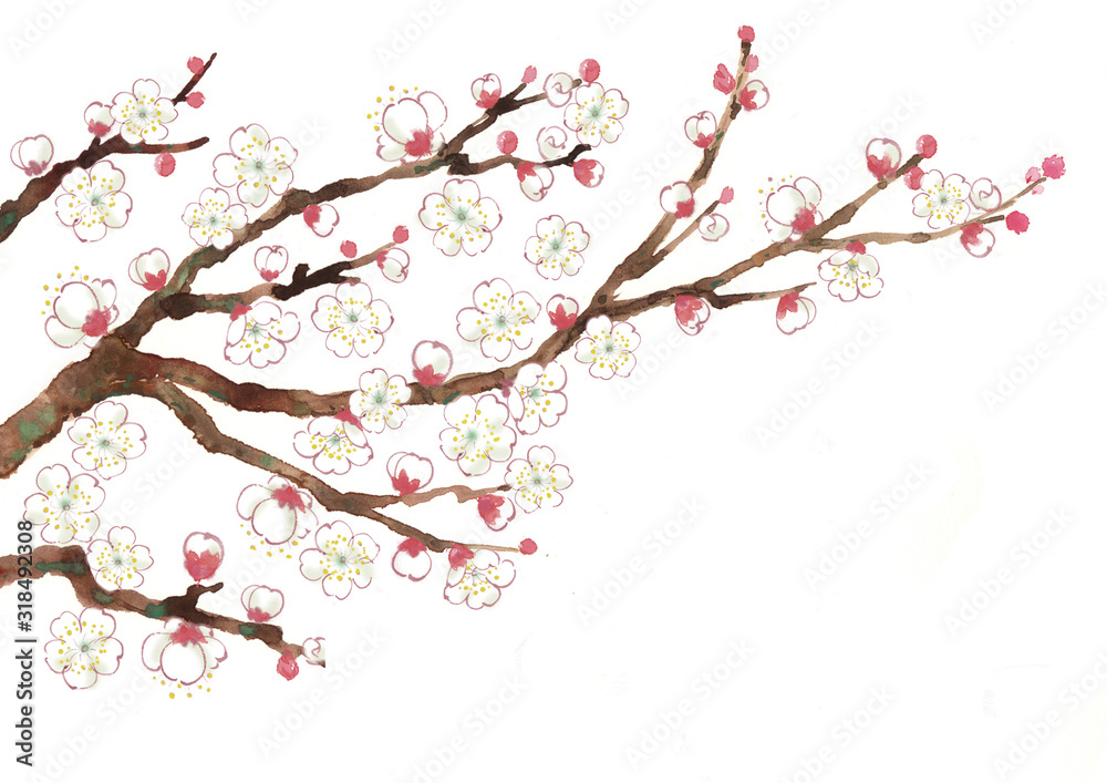 Fototapeta premium 梅の枝_02