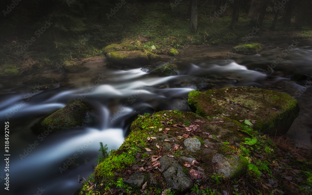 waterfall in the forest 