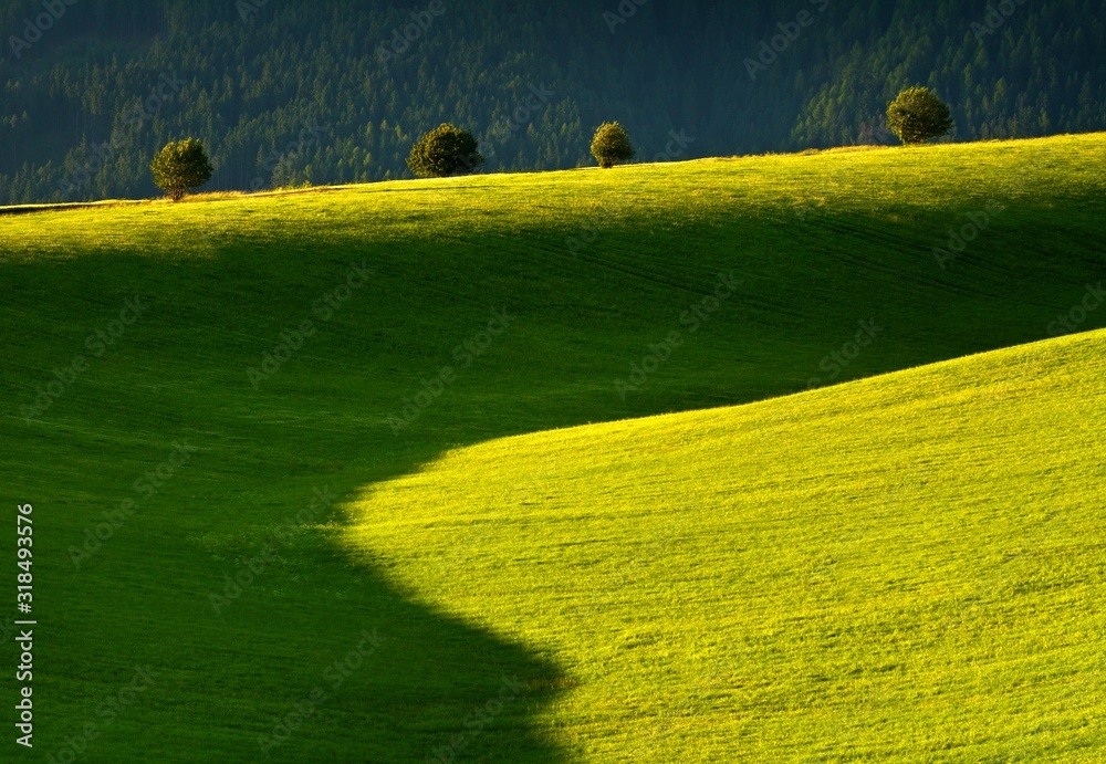Obraz premium meadows and fields in the Liptov region, below the Tatras
