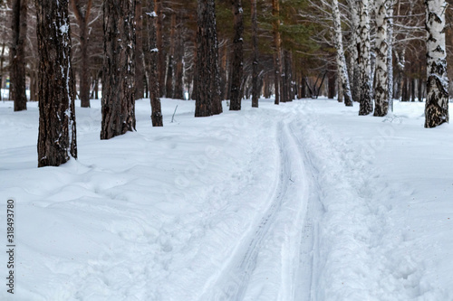 A track in the snow goes into the distance in a winter park for relaxation and sports