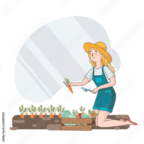 girl harvests carrots. vegetables in a wooden box photo