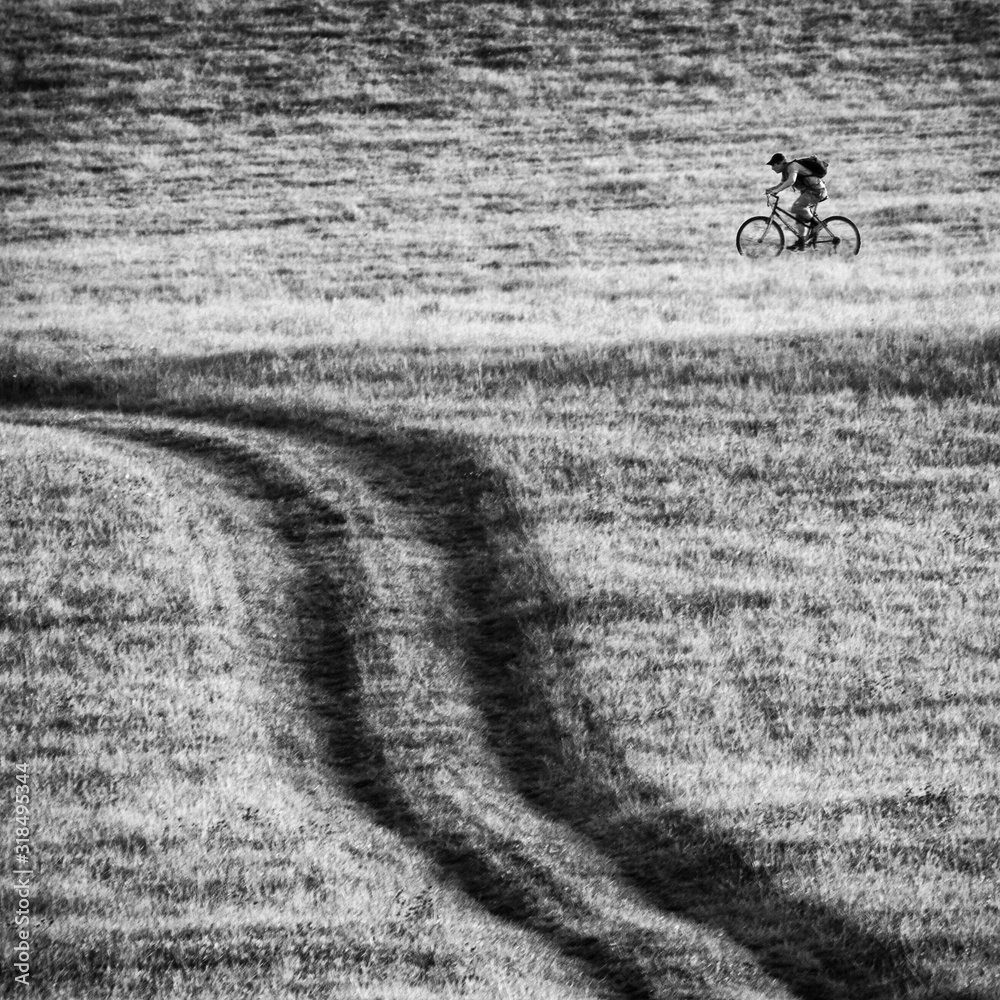 bicycle on the field