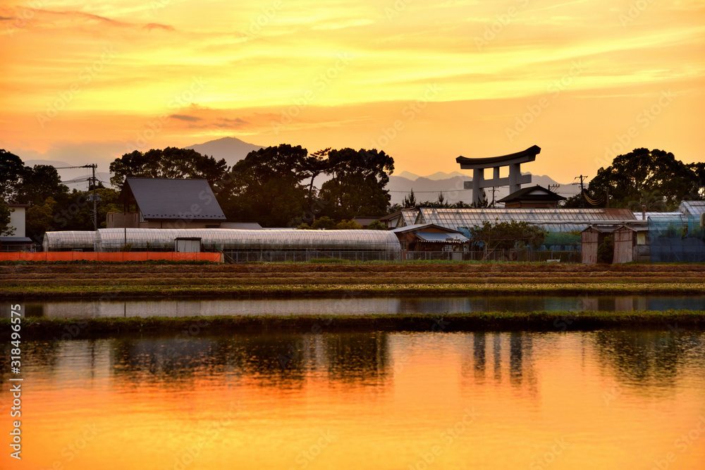 Fototapeta premium 夕焼けで茜色に染まる寒川田園風景