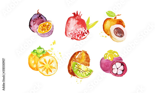 Juicy Ripe Tropical Fruit Collection  Persimmon  Chrysophyllum  Pomegranate  Mangosteen  Peach  Kiwi Watercolor Hand Painting Vector Illustration